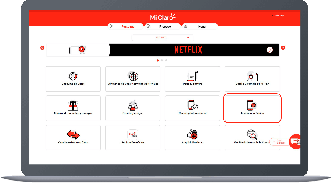 Paso 2 - Información registro de IMEI 