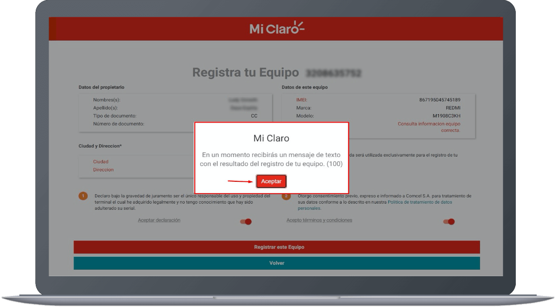 Paso 7 - Información registro de IMEI