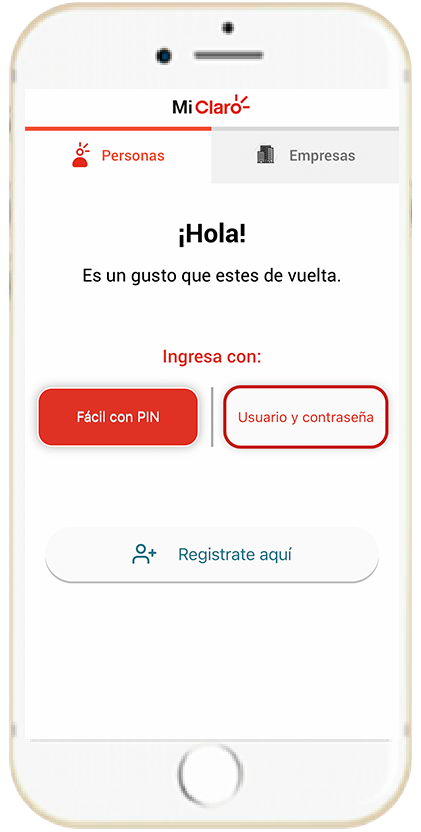 Paso 1 - Información registro IMEI 