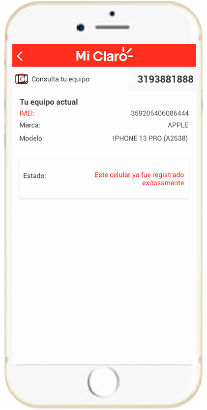 Paso 7 - Información registro IMEI 