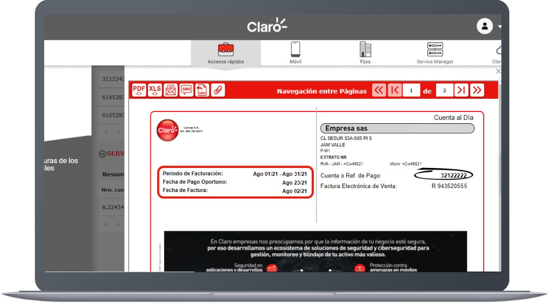 Paso 5 - Consultar todo de tu factura empresas 