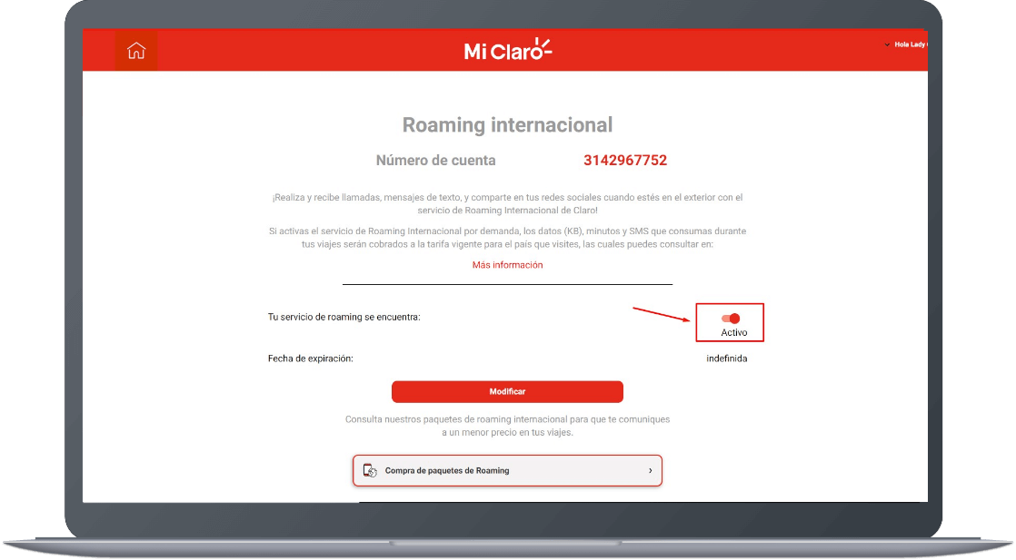 Paso 6 - Cómo activar y desactivar el roaming internacional 