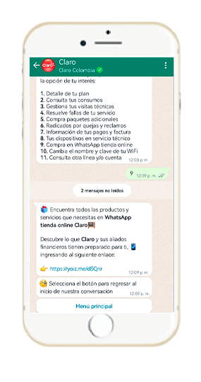 Paso 4 - Compra en WhatsApp Tienda Online 