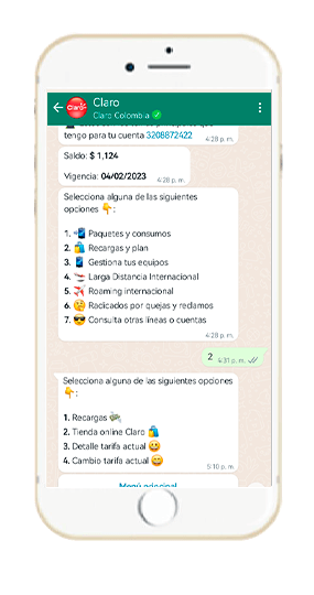 Paso 2 - Compra WhatsApp Tienda Online Prepago