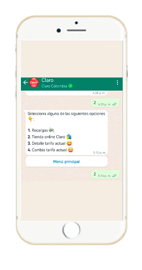Paso 3 - Compra WhatsApp Tienda Online Prepago