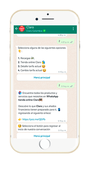 Paso 4 - Compra WhatsApp Tienda Online Prepago 