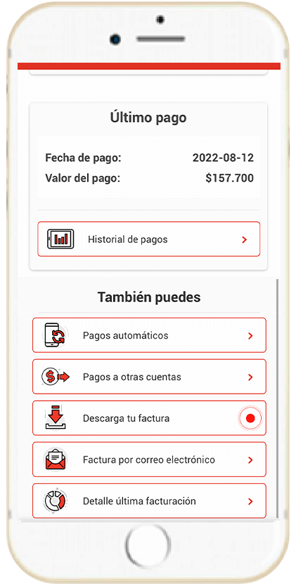 Paso 4 - Selecciona la cuenta a consultar duplicado de factura 