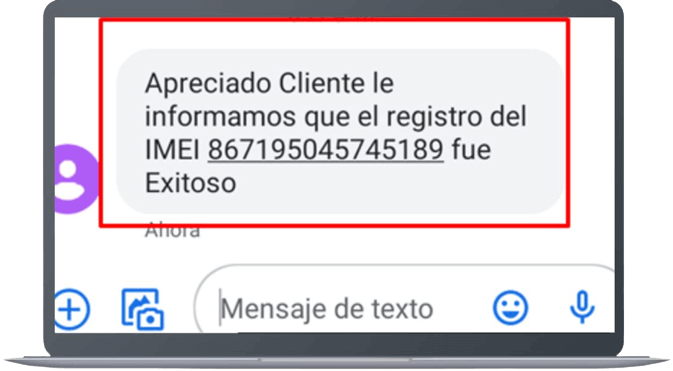 Paso 8 - Información registro de IMEI 