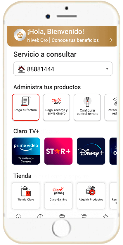 Paso 3 - Envia la factura Hogar a tu correo 