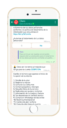 Paso 6 - Consulta otra linea o cuenta hogar 