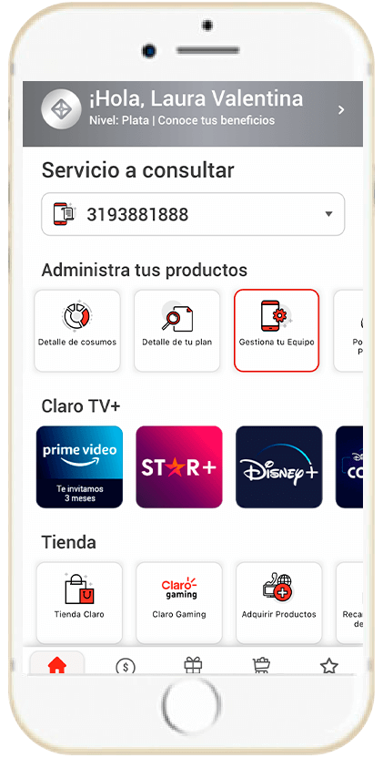 Paso 3 - Información registro IMEI 