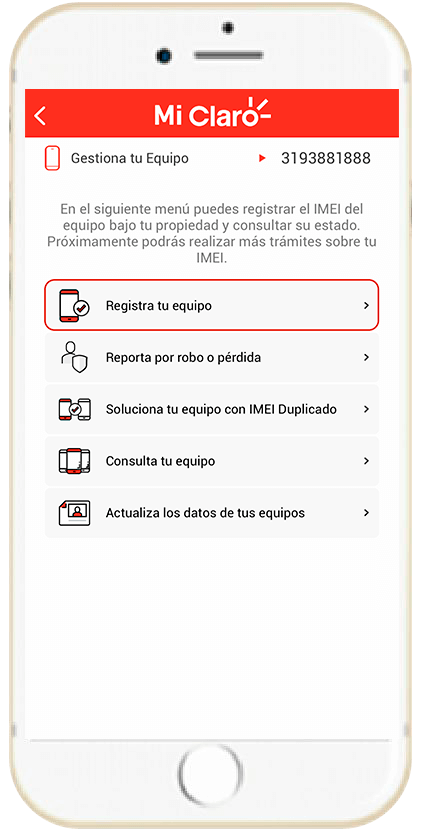 Paso 4 - Información registro IMEI 