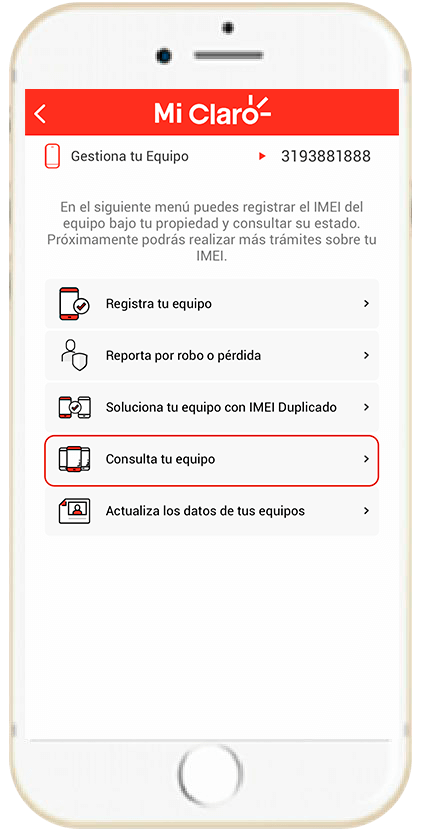 Paso 6 - Información registro IMEI 