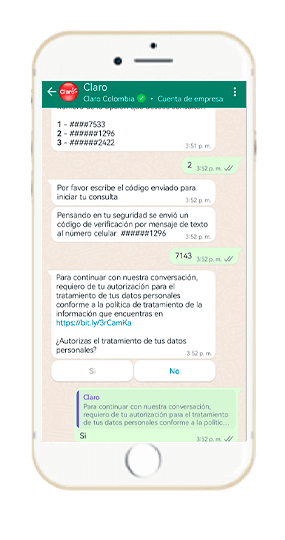 Paso 5 - Consulta Línea o cuenta Prepago WhatsApp Claro 