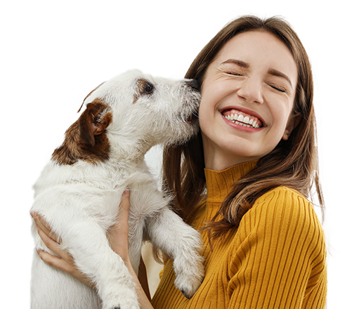 5 beneficios de tener mascotas en tu hogar 5 beneficios de tener mascotas en tu hogar