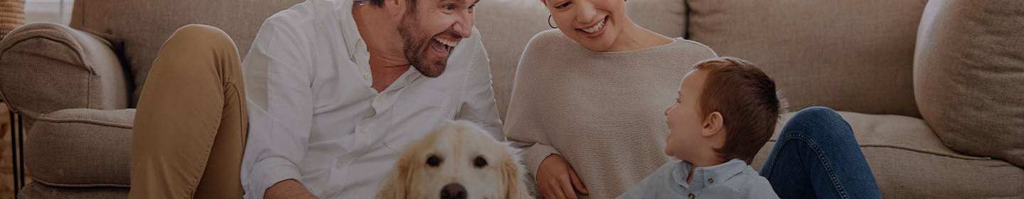 Beneficios de tener mascotas Beneficios de tener mascotas