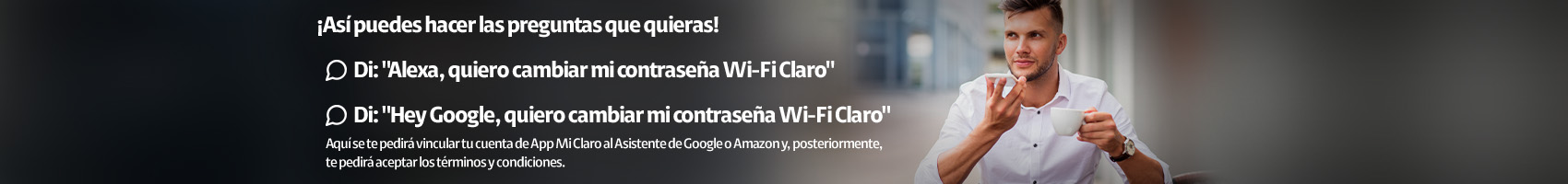 Title Imagen Alt Imagen