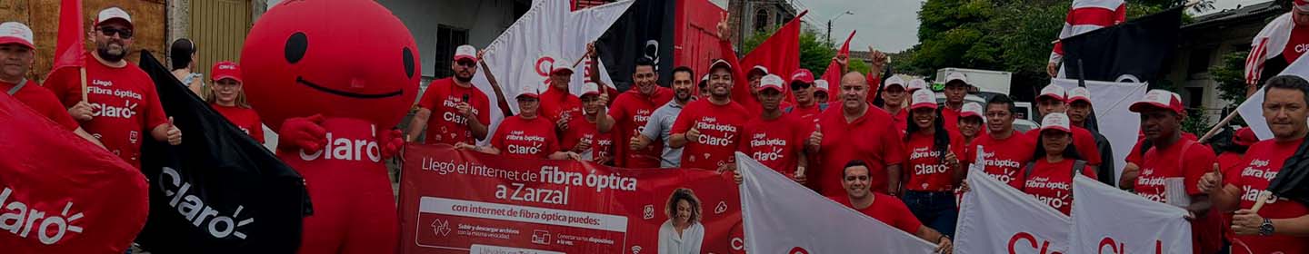 fibra óptica zarzal