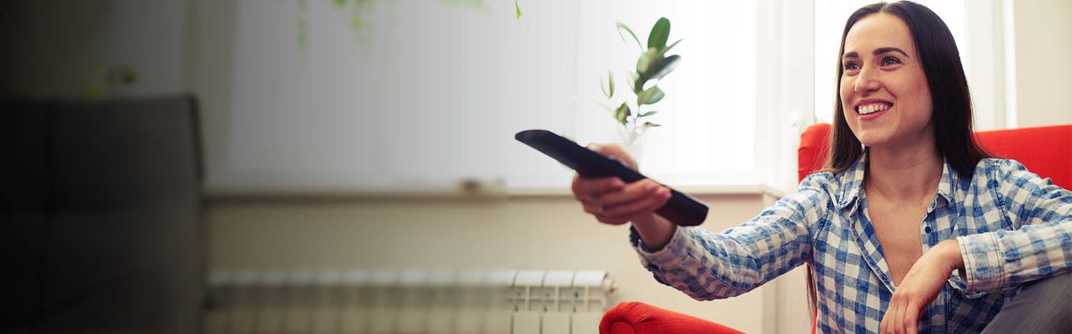 Televisión Multipunto