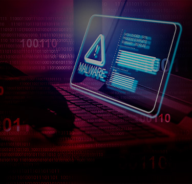 Ciberseguridad 5 acciones