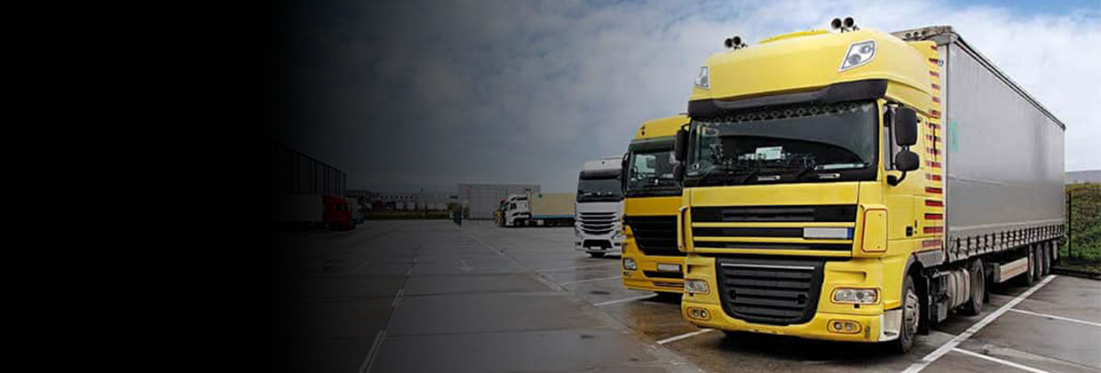 sector transporte sector transporte