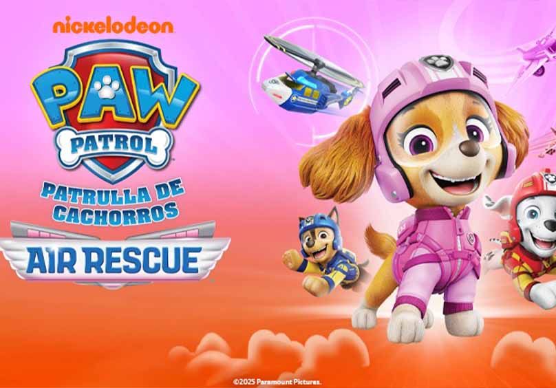 PAW PATROL: AIR RESCUE