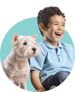 Planes de televisión claro hogar 