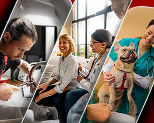 T-Resuelve Multiasistencia T-Resuelve Multiasistencia