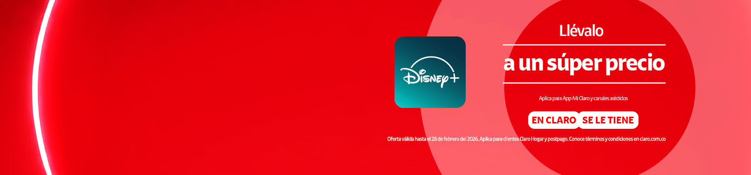 Disney + Disney +