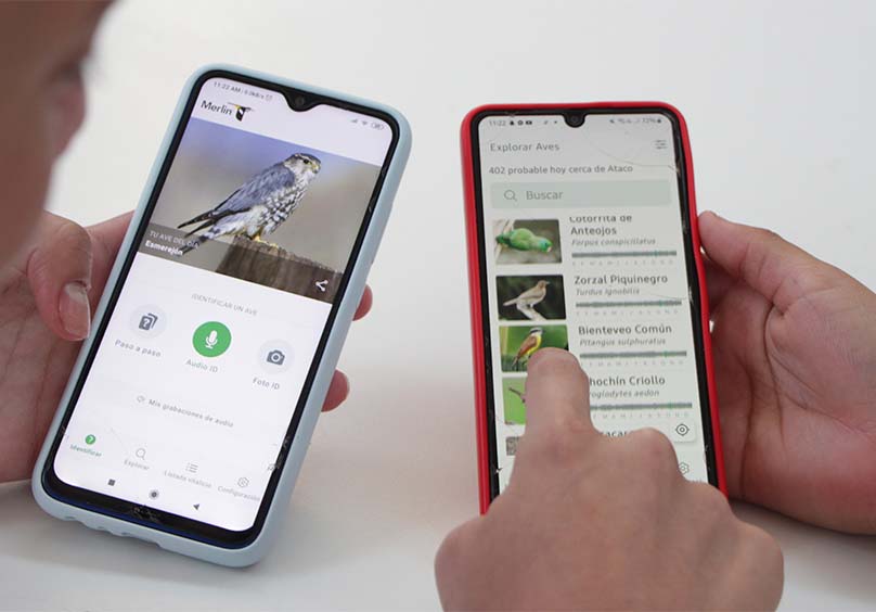 dispositivos conectados a red de centros digitales
