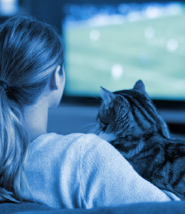 Planes de asistencias