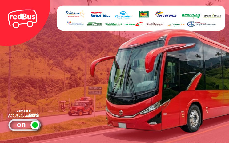 Tiquetes de bus hasta con el 50% de descuento