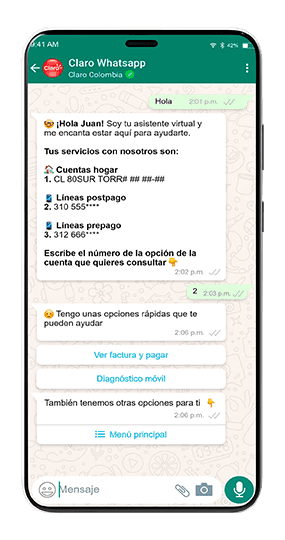 Paso 2: Consulta tu factura Claro