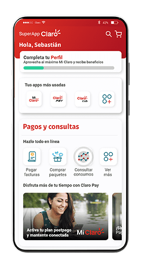 Paso 2 - detalles postpago