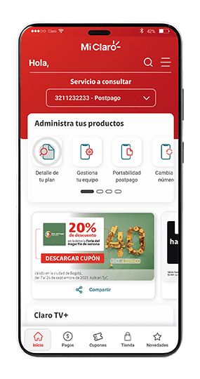 Consulta tu factura - Paso 2