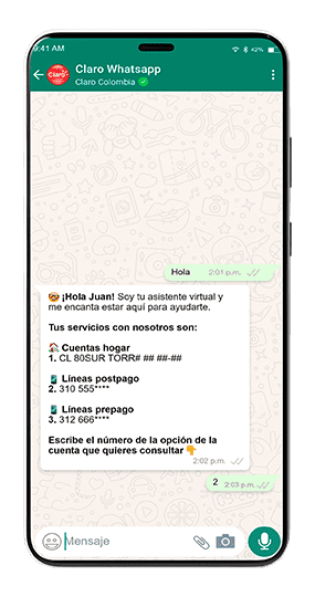 Paso 1: Consulta tu factura Claro
