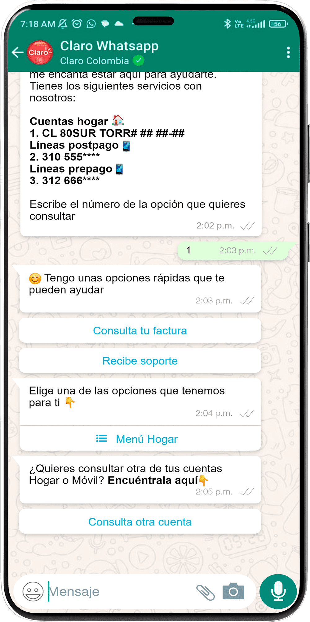 Paso 4 - Información de saldo 