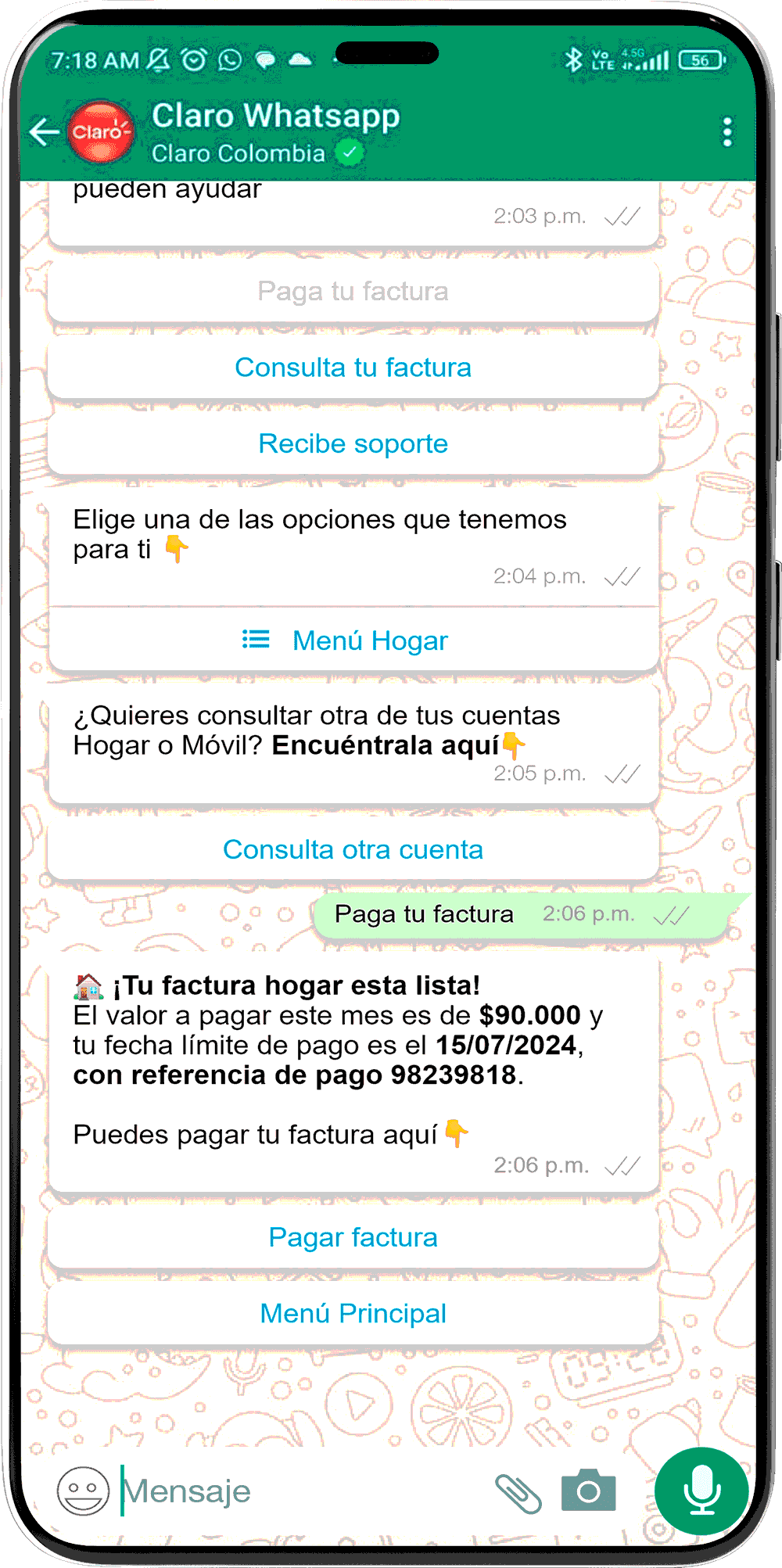 Paso 3 - Información de saldo