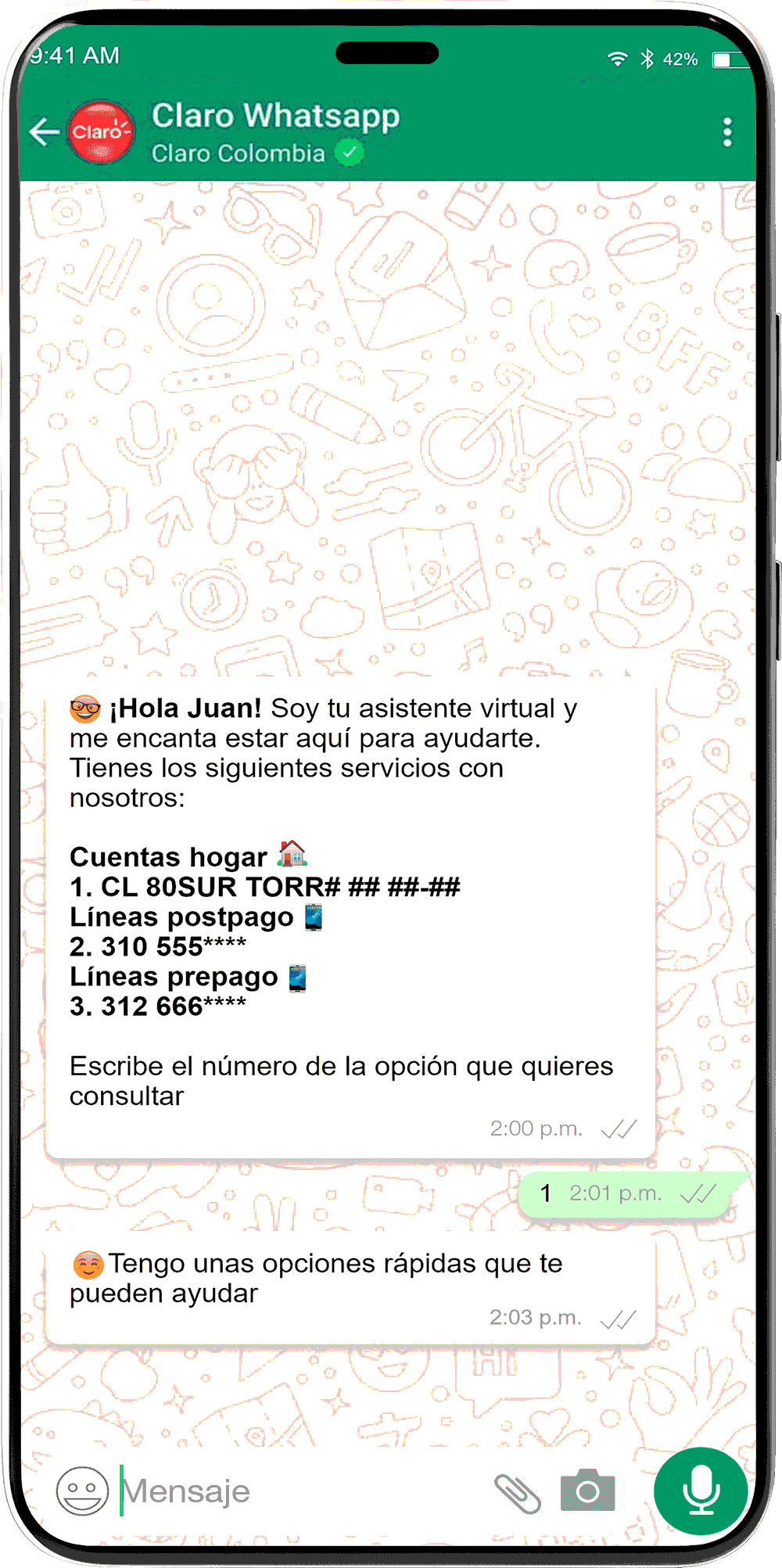 Paso 1 - Información de saldo